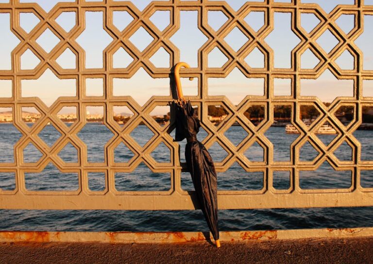 "Paraguas oscuro apoyado en una valla con diseño, frente al agua durante el atardecer."